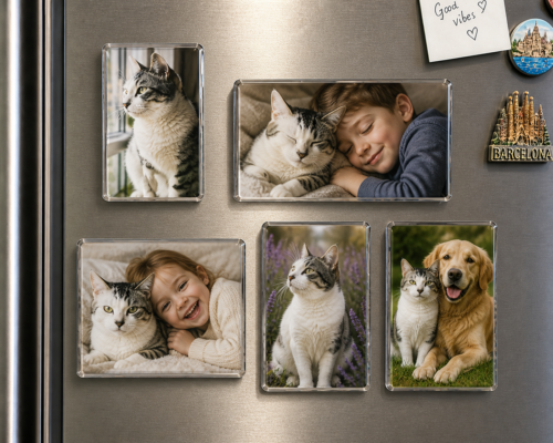 Acrylic Rectangular Magnetic Photo Frames